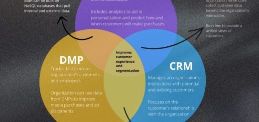 CDP CRM DMP